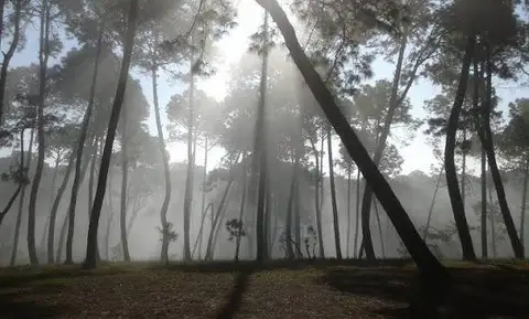 Photo of Hattiban Resort Ground